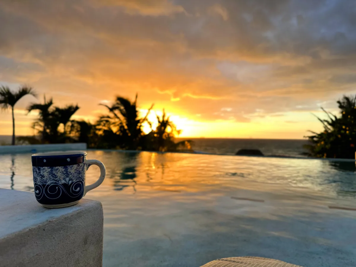 Rooftop infinity pool luxury villa in playa del carmen.HEIC