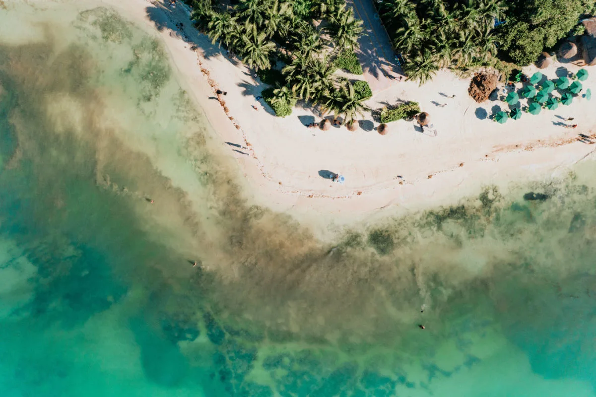 What Makes This Playa Del Carmen Hotel The 2nd Best on Earth?
