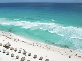 Can You Swim In Cancun's Hotel Zone Right Now With The Sargassum? Here's Our Experience