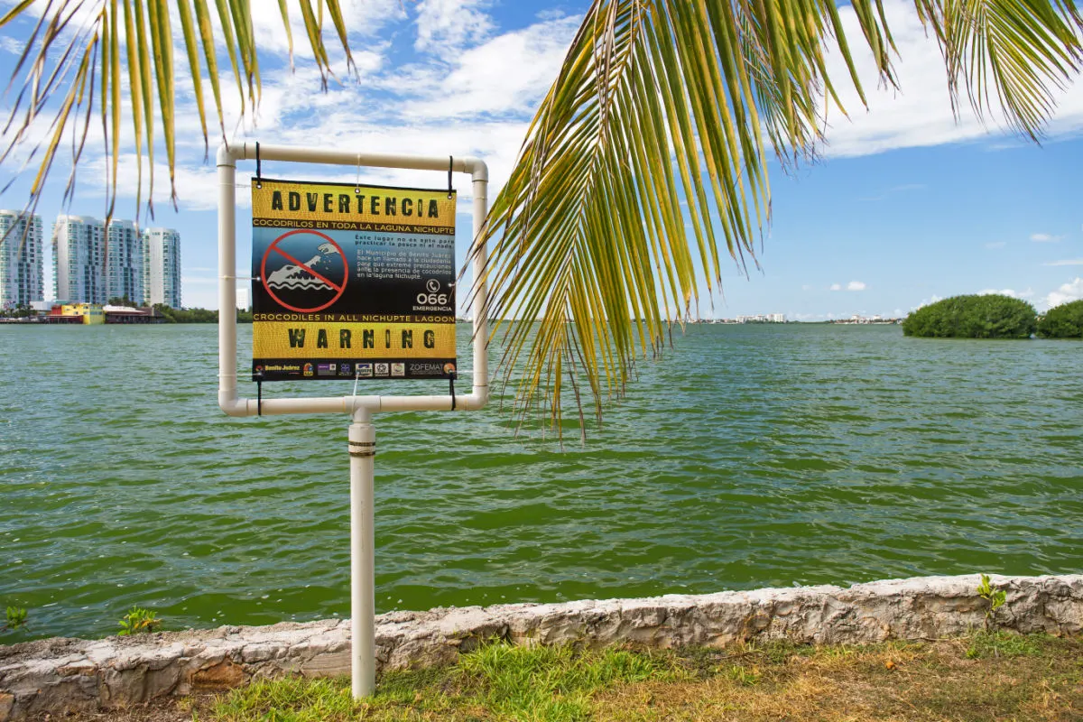 CANCUN, MEXICO Warning crocodiles sign near the Nichupte Lagoon