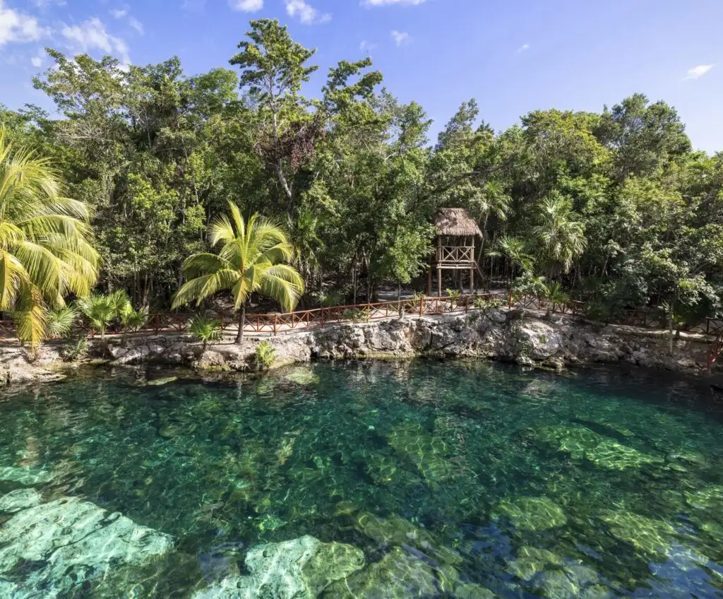 Jungle Cenote