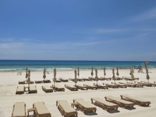 Sargassum Levels Begin To Decrease In Cancun As 'Tapering' Season Begins