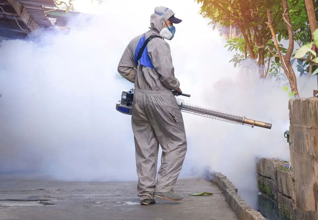 Authorities Remind Tourists To Protect Themselves From Dengue Fever