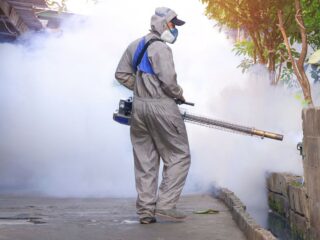 Authorities Remind Tourists To Protect Themselves From Dengue Fever