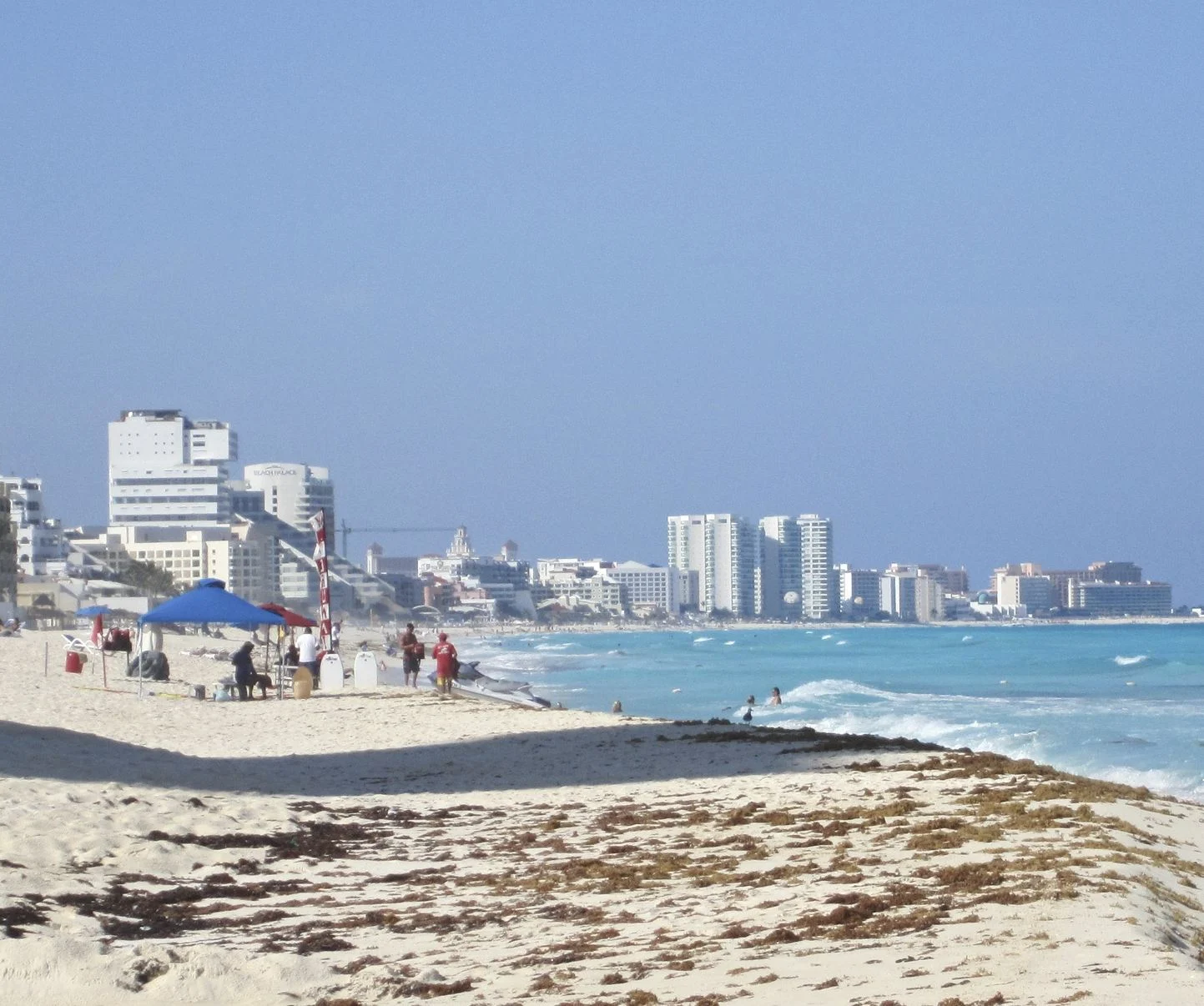 Light Sargassum Cancun Hotel Zone