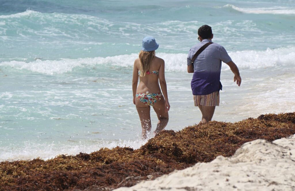 Tourists Walk By Shore With Sargassum