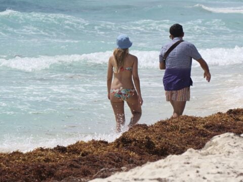 Tourists Walk By Shore With Sargassum