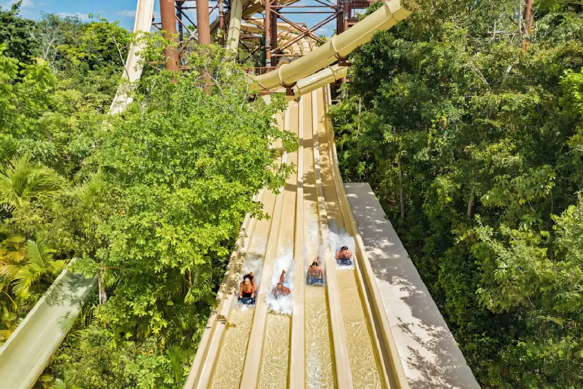 Jungala Hotel Water Slide