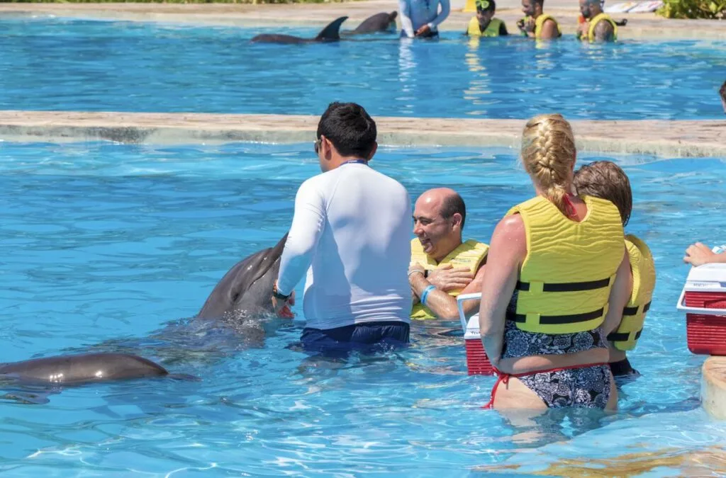This Is Your Last Chance To Swim With Dolphins In Cancun But Should You