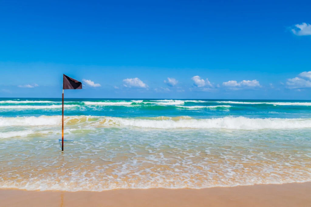 Black Flag on Beach