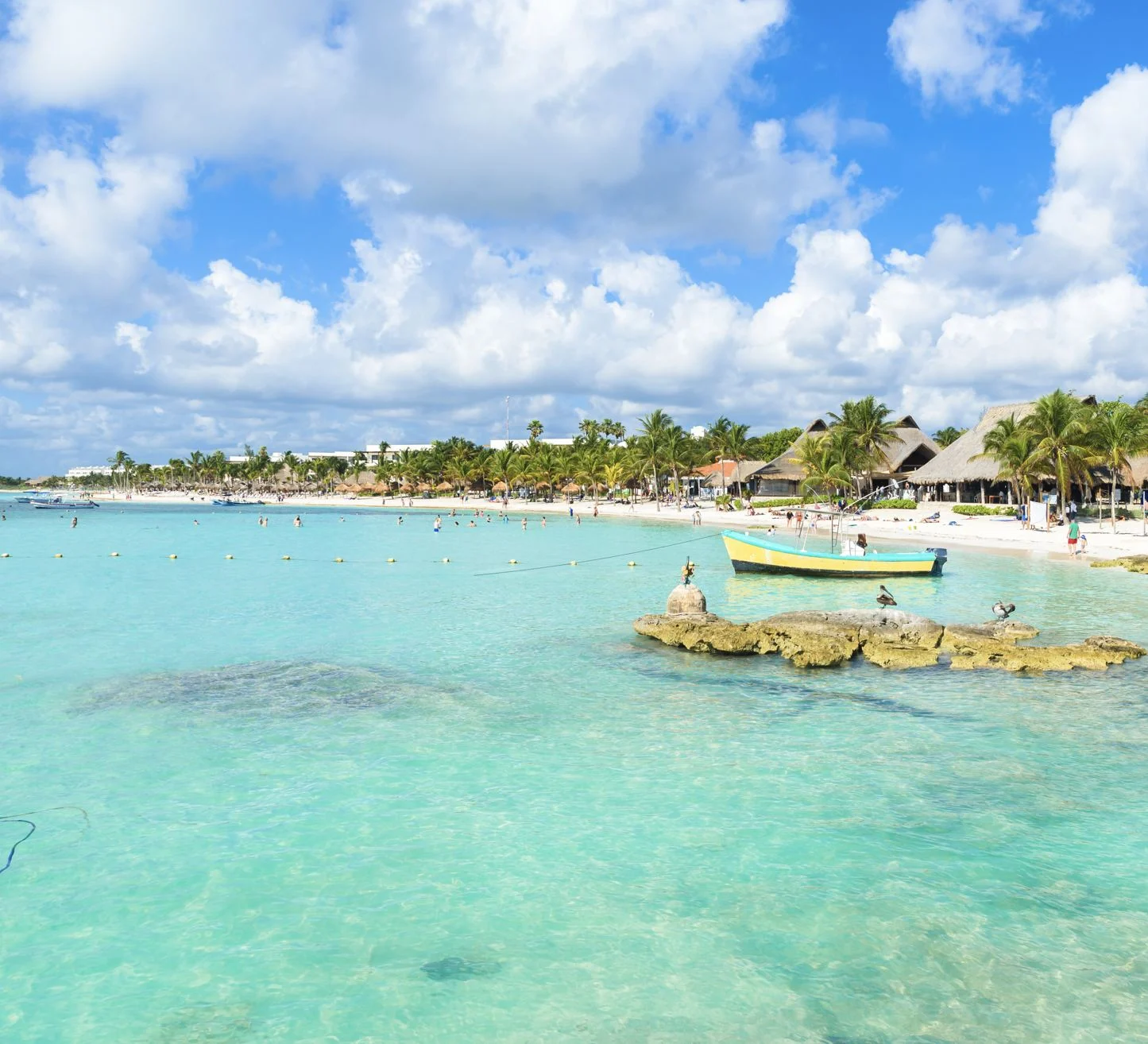 Swimming in Akumal Bay