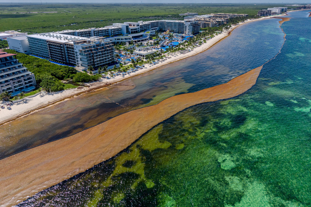 A dramatic aerial view of Cancun's paradise coastline invaded by sargassum &mdash; showcasing the environmental clash between luxury resorts, mangroves, and ocean pollution.