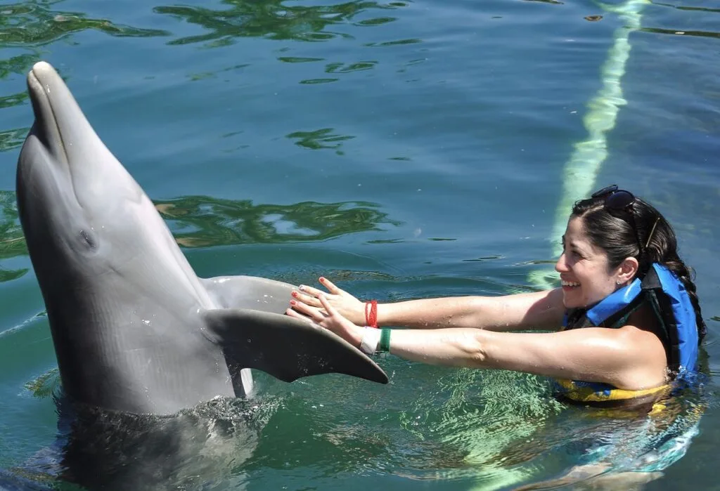 Bankruptcy & Arrest Is It Safe To Book Cancun Dolphin Discovery Parks Right Now 