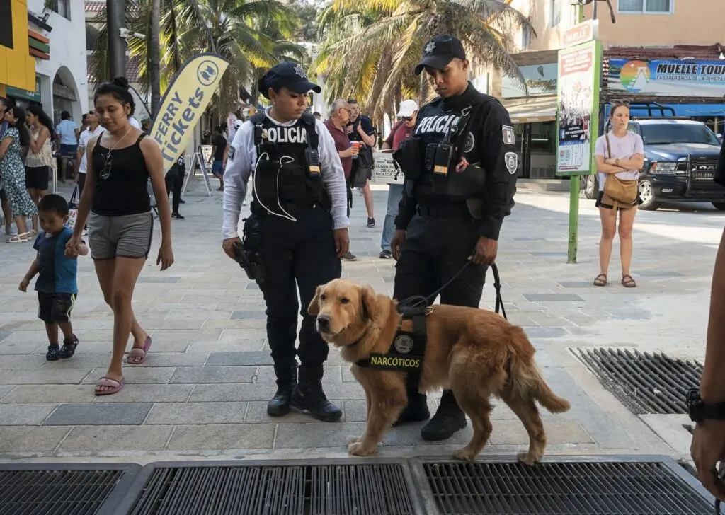 Playa Del Carmen K9 and Police