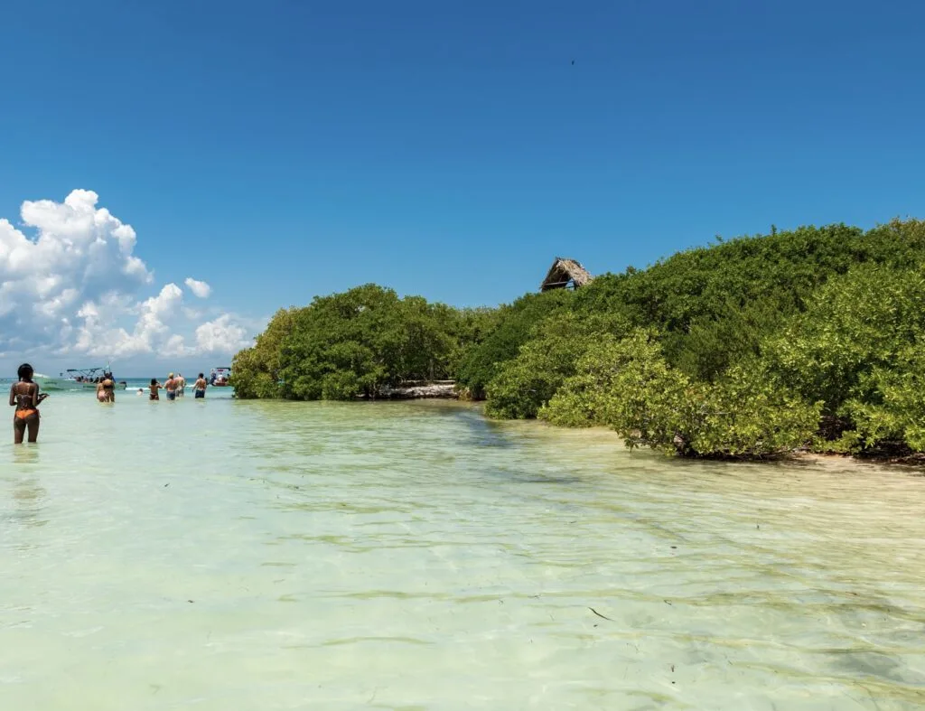 Swimmer in Isla Passion