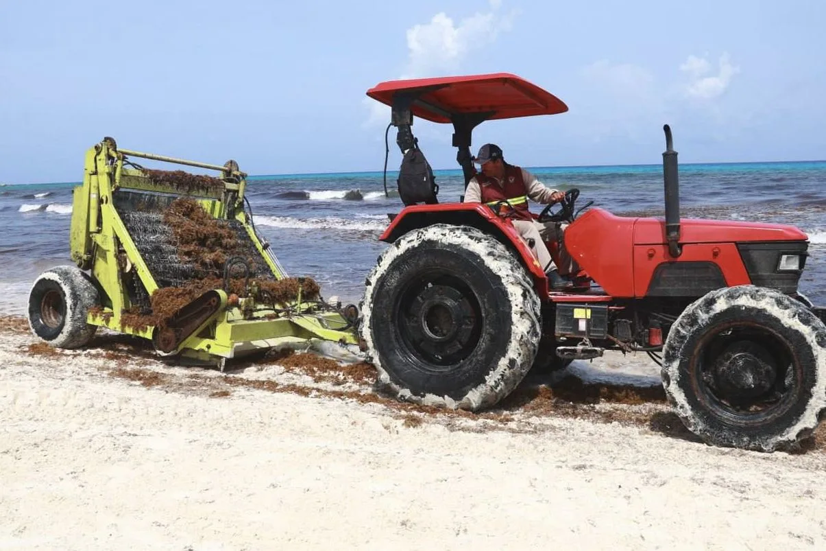 These Are The 3 Months With The Lowest Sargassum In Cancun According To New Report