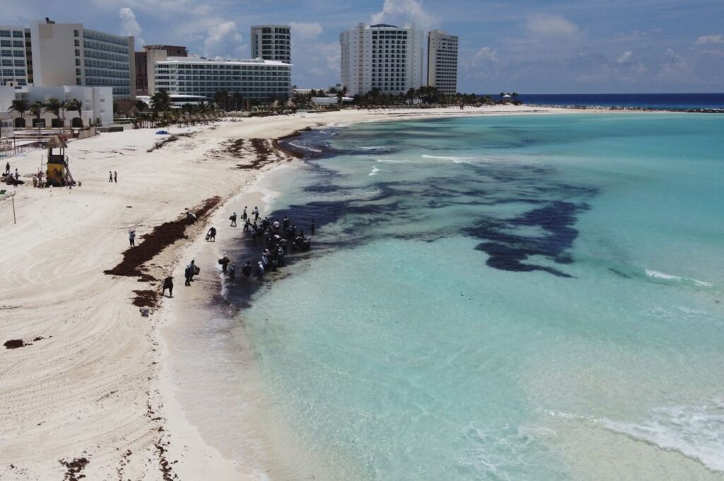 Cancun Sargassum Season Begins The 5 Things Every Traveler Needs To Know In 2026