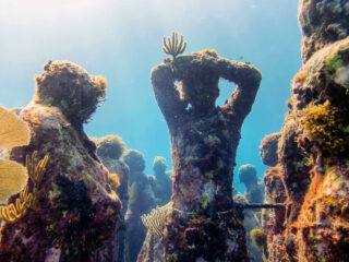MUSA Underwater sculptures Isla Mujeres