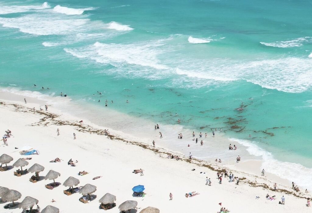 Mexican Navy Warns Sargassum Will Begin This Month What Travelers Can Expect