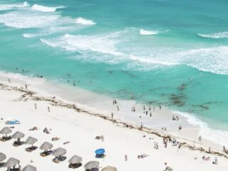 Mexican Navy Warns Sargassum Will Begin This Month What Travelers Can Expect
