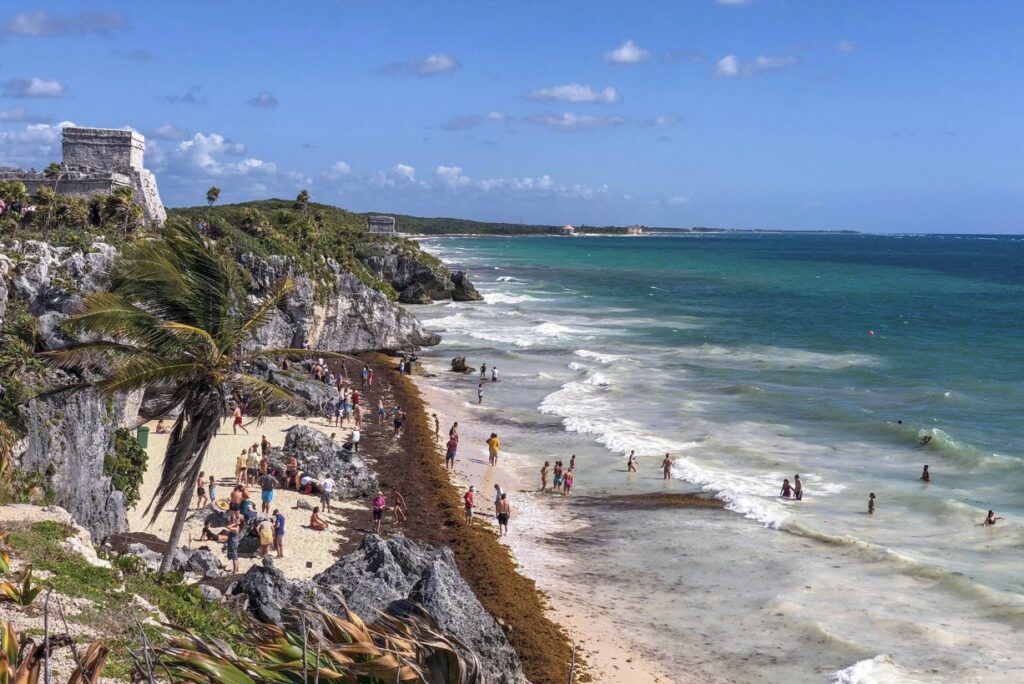 These Are The 3 Areas That Get The Most Sargassum In The Riviera Maya