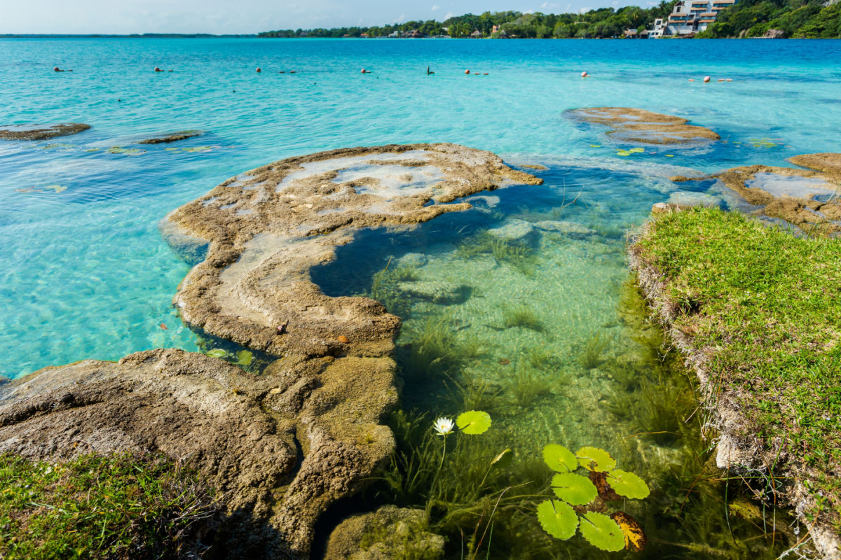 Beautiful landscape with stromatolites, photo taken in Laguna Bacalar in Mexico during kayak trip.