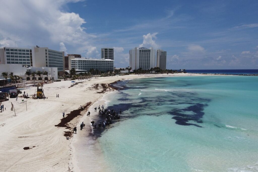 How To Check Live Sargassum Webcams For Your Cancun Resort