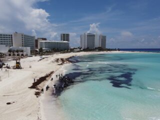 How To Check Live Sargassum Webcams For Your Cancun Resort