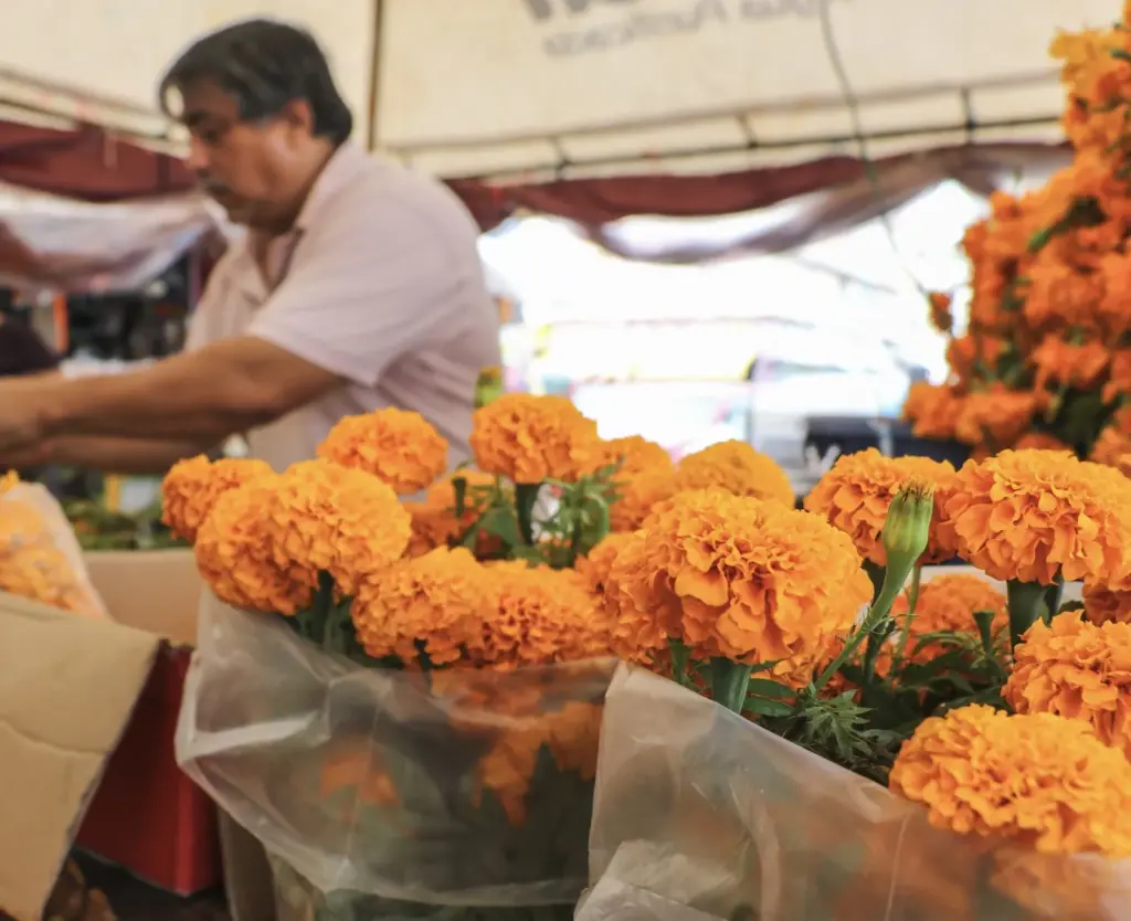 Marcado-23 flower vendor