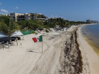 Cancun & Riviera Maya Battle Sargassum As Season Intensifies What Travelers Need To Know