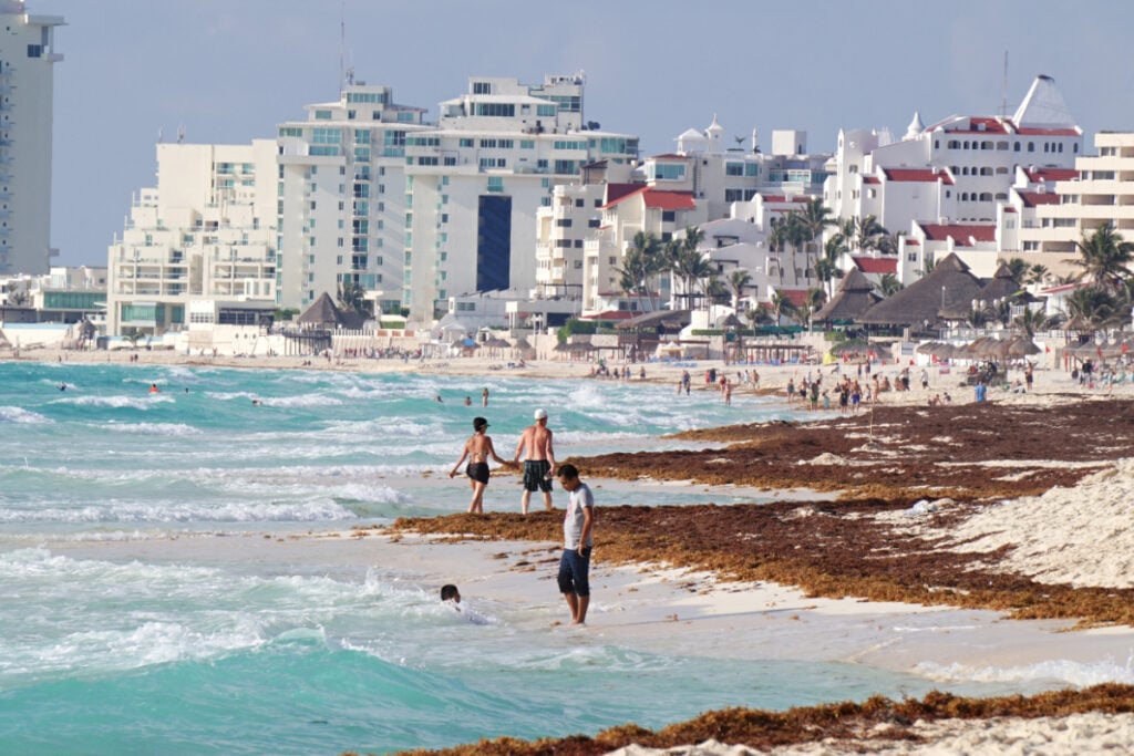 Cancun - A paradisiacal beach is affected by a large accumulation of sargassum. Brown algae cover the white sand, contrasting with the turquoise color of the Caribbean sea.