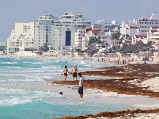 Cancun - A paradisiacal beach is affected by a large accumulation of sargassum. Brown algae cover the white sand, contrasting with the turquoise color of the Caribbean sea.