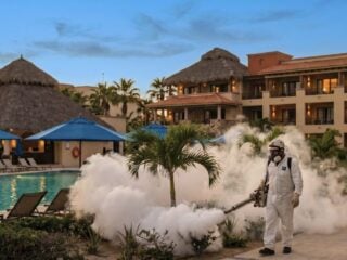 Dengue Fever Season Has Started In Cancun Everything Travelers Need To Know This Summer