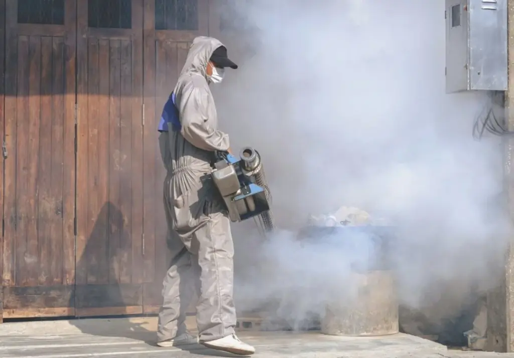 Mosquitoes-Increase-In-Cancun-After-Heavy-Rains