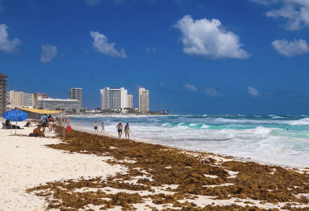 You Can Now Check Live Webcams To See REAL-TIME Sargassum Levels At Your Resort