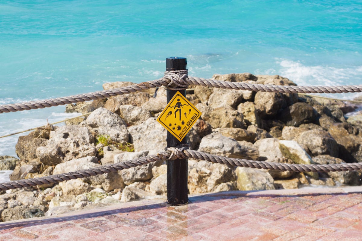 yellow warning sign with jellyfish in an emerald sea Cancun Mexico