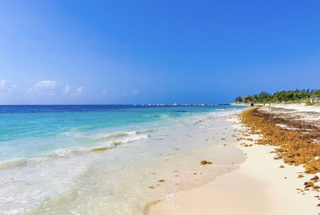 Cancún Deploys First-of-its-Kind Sargassum Barrier to Keep Beach Pristine 1