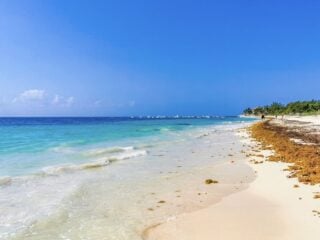 Cancún Deploys First-of-its-Kind Sargassum Barrier to Keep Beach Pristine 1