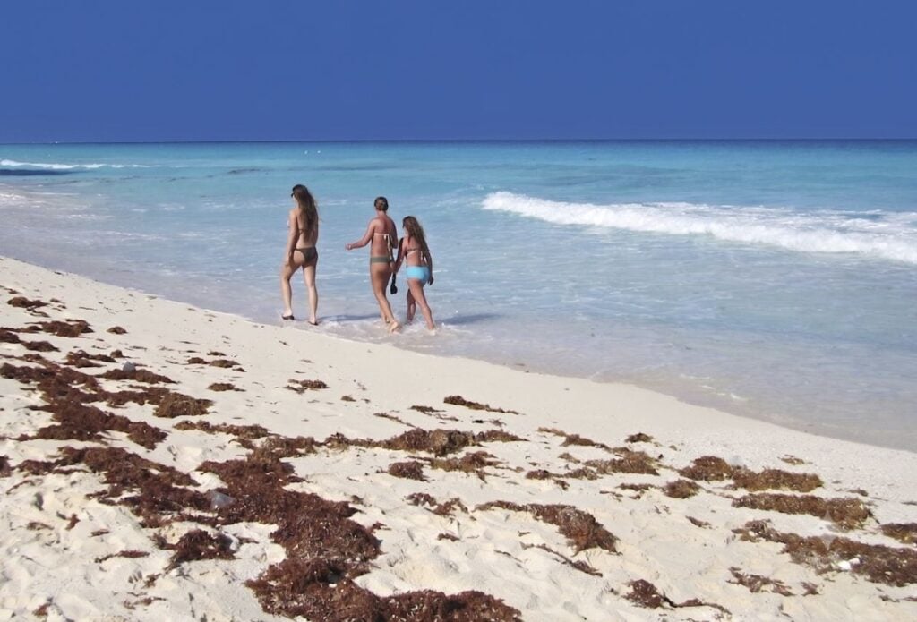 Cancún Deploys First-of-its-Kind Sargassum Barrier to Keep Beach Pristine