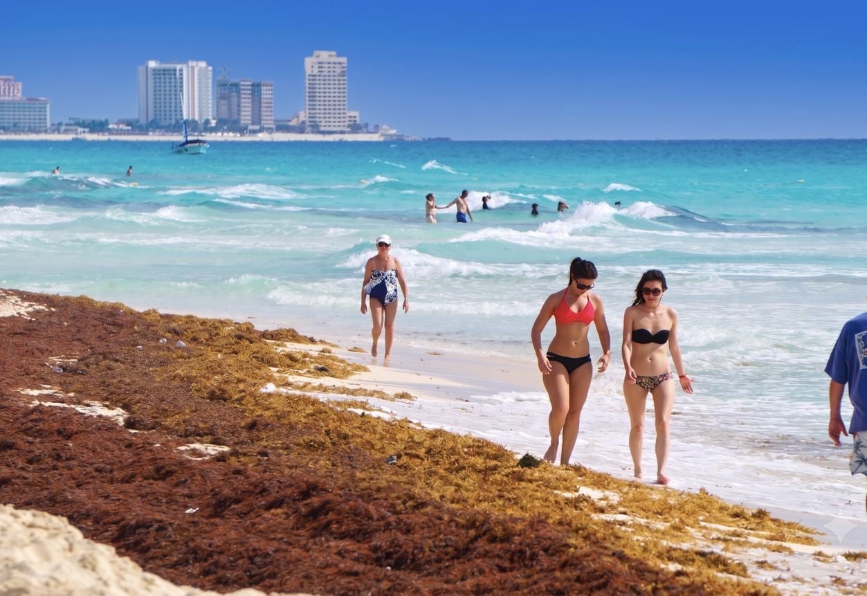 Check Live Sargassum Conditions At Your Hotel With With These Live Webcams