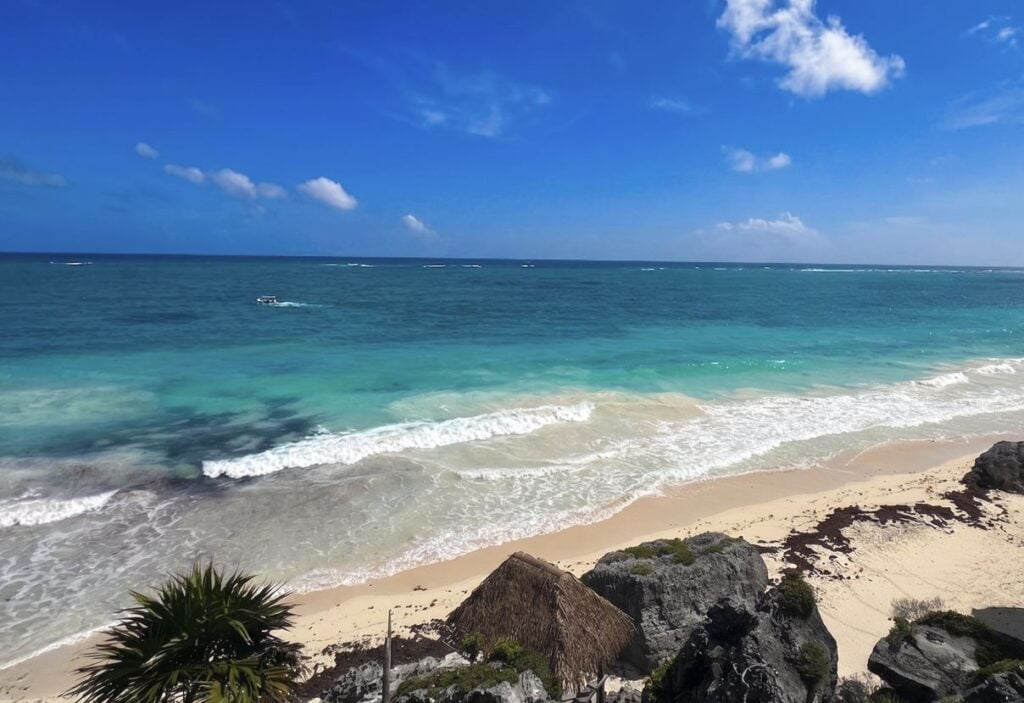 Tulum's Jaguar Park Will Now Be Free To Enter Announces President Of Mexico