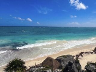 Tulum's Jaguar Park Will Now Be Free To Enter Announces President Of Mexico