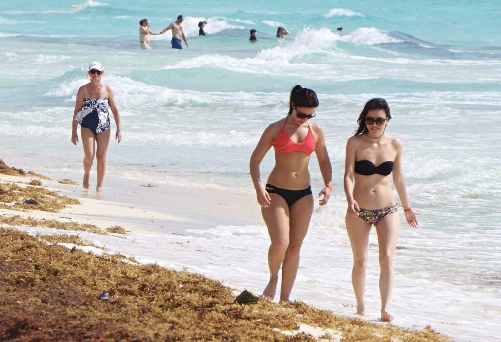 Do Travelers Actually Avoid Cancun Due To Sargassum Here's What Travelers Are Saying In 2026