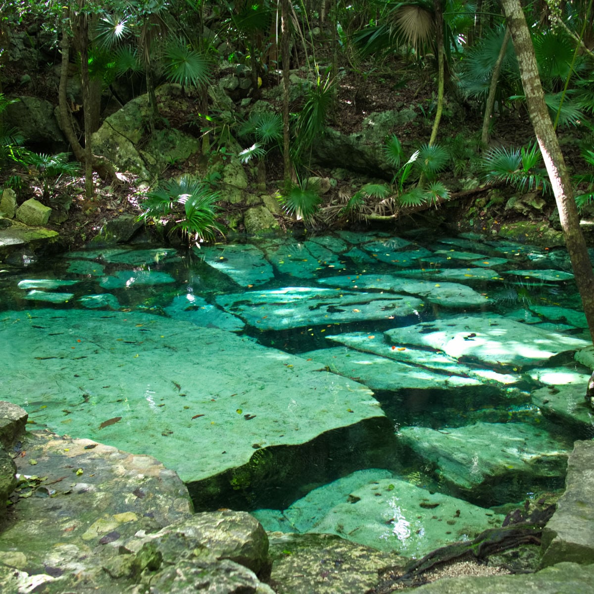 Morning view of Cenote Azul, Playa del Carmen, Quintana Roo, Mexico.