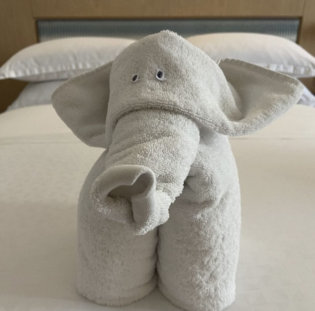 Towel Animal