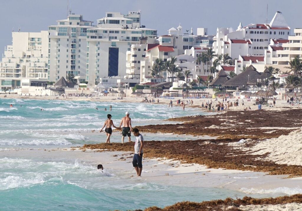 Sargassum Season Coming To And End In Cancun Here's What To Expect This Month